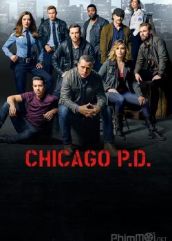 Poster Phim Cảnh sát Chicago Phần 3 (Chicago P.D. Season 3)