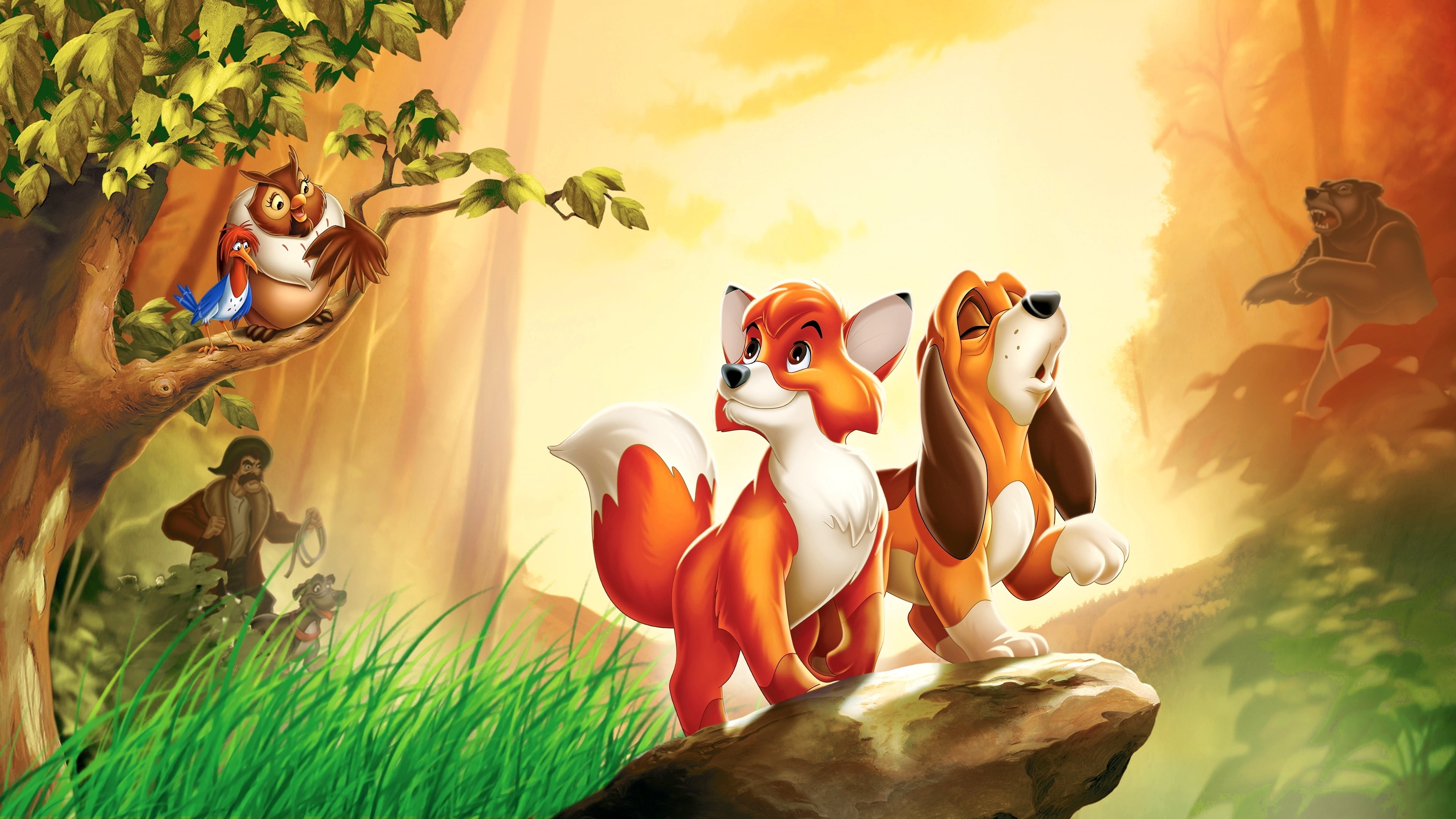 Xem Phim Cáo và Chó Săn (The Fox and the Hound)