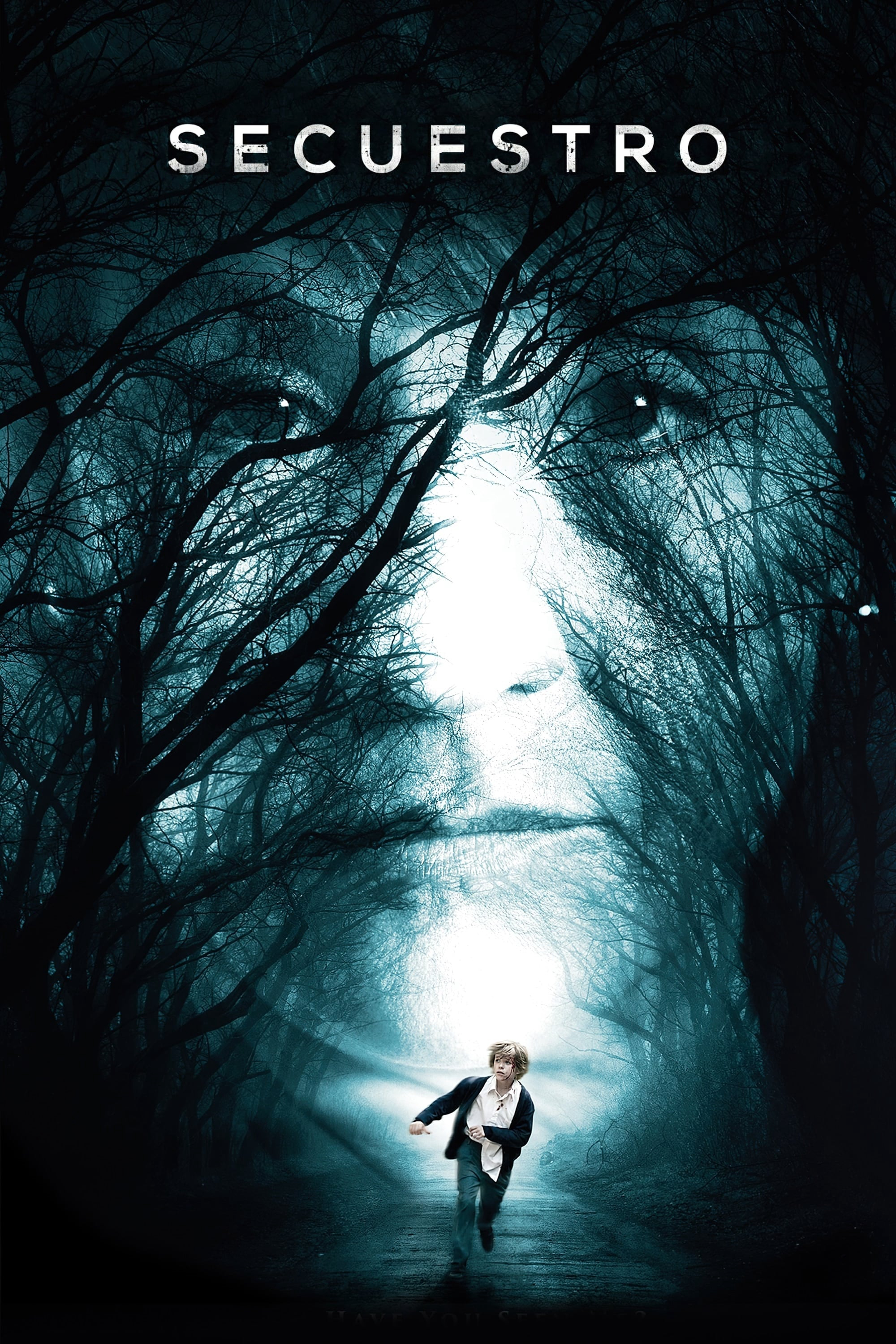 Poster Phim Cậu Bé Mất Tích (Boy Missing)