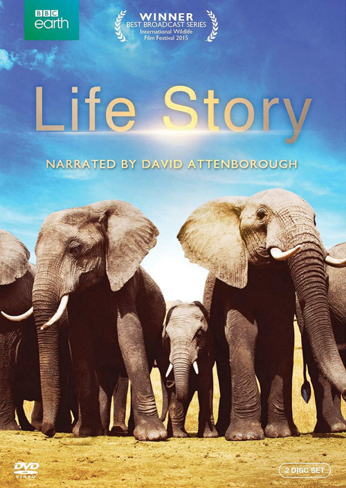 Poster Phim Câu Chuyện Cuộc Sống (Life Story)