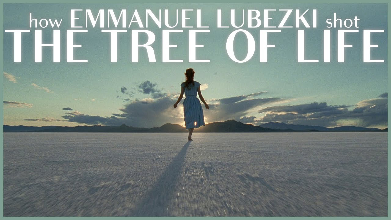 Poster Phim Cây Đời (The Tree of Life)