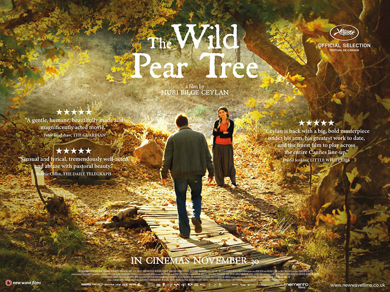 Poster Phim Cây Lê Dại (The Wild Pear Tree)