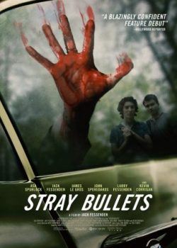 Poster Phim Chạm Trán Mafia (Stray Bullets)