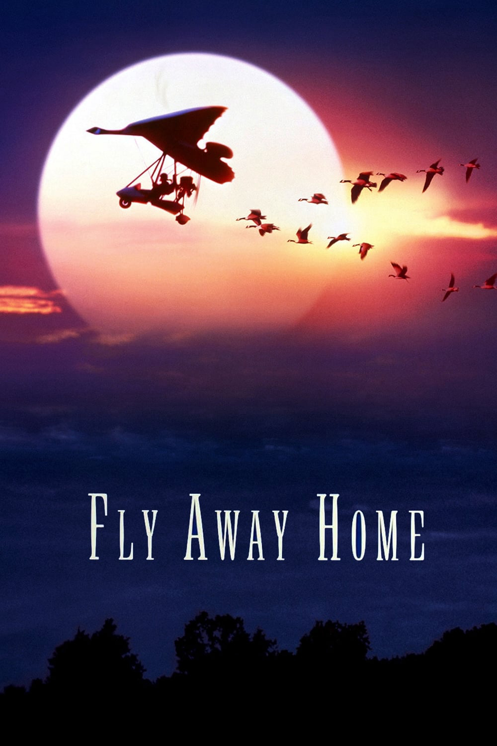 Poster Phim CHẮP CÁNH BAY XA  (Fly Away Home)