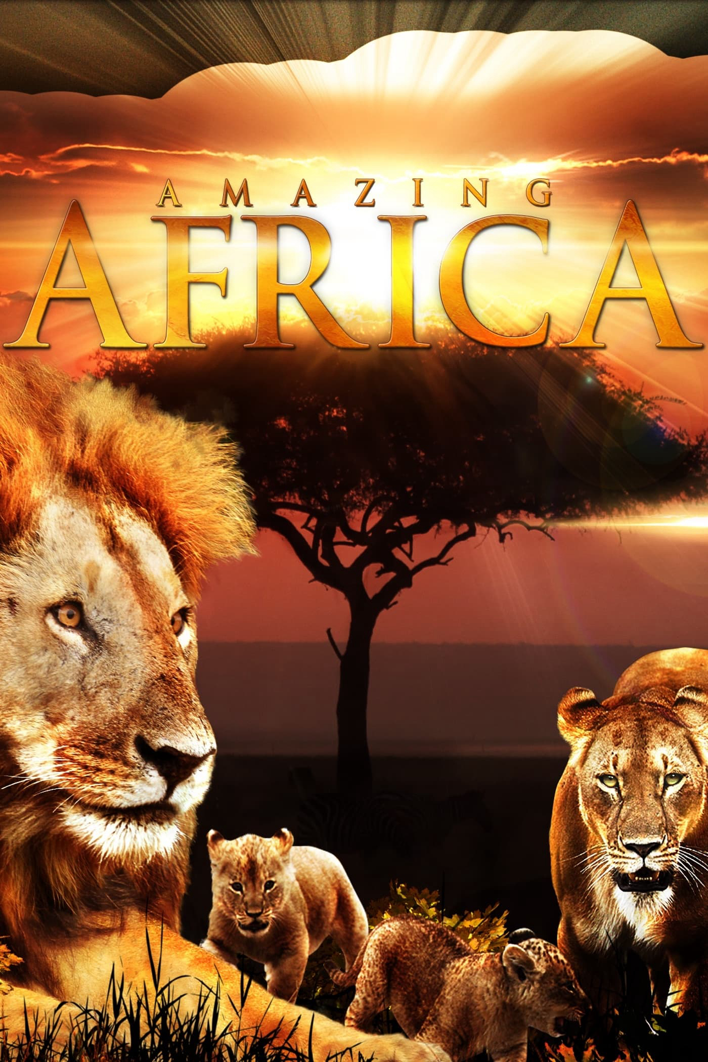 Poster Phim Châu Phi Huyền Diệu (Amazing Africa)