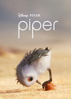Poster Phim Chú Chim Trên Bờ Biển (Piper)