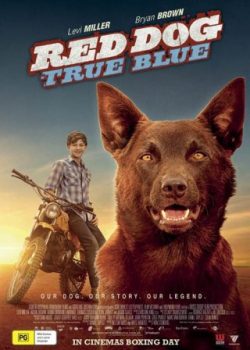 Poster Phim Chú Chó Đỏ 2 (Red Dog: True Blue)