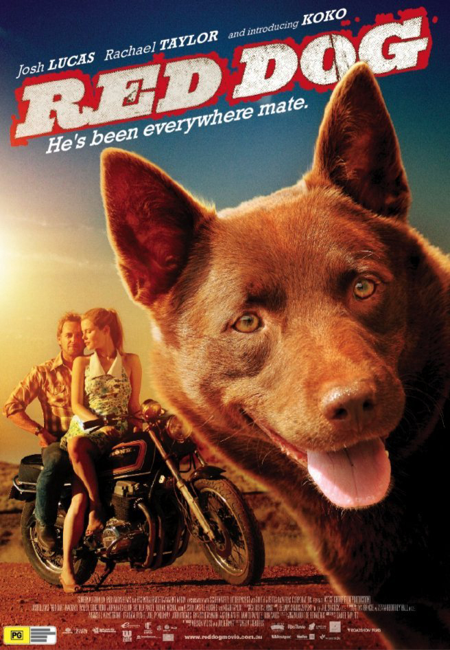 Xem Phim Chú Chó Đỏ (Red Dog)