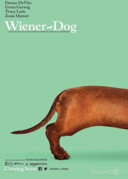 Poster Phim Chú Chó May Mắn (Wiener-Dog)