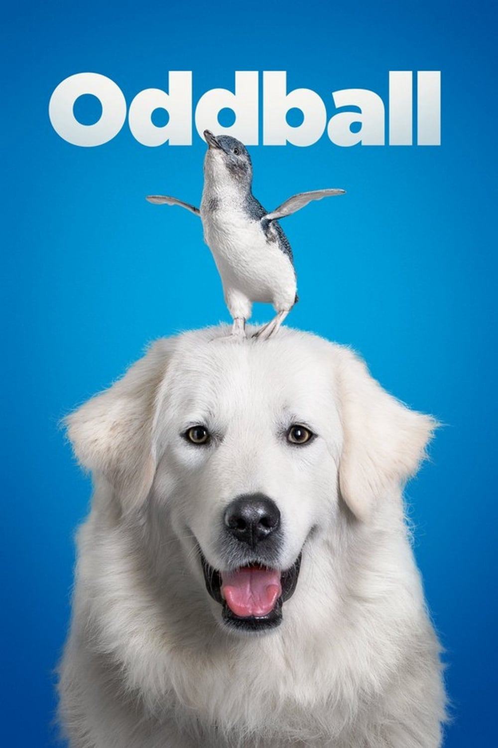 Poster Phim Chú Chó OddBall (Oddball)