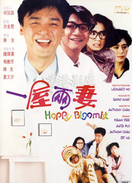 Poster Phim Chúc mừng Bigamist (Happy Bigamist)