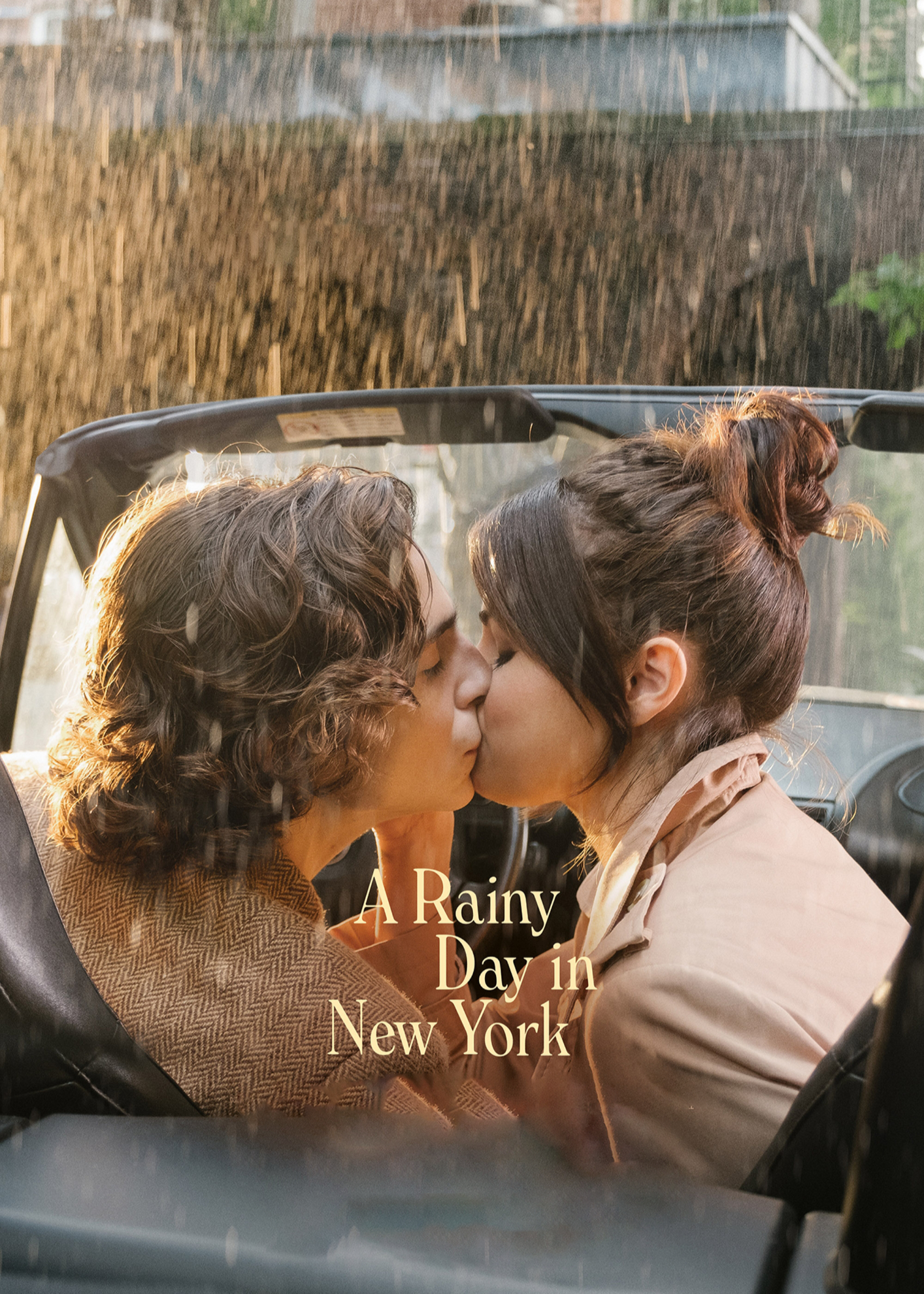 Poster Phim Chuyện Ngày Mưa Ở New York (A Rainy Day in New York)