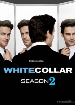 Poster Phim Cổ Cồn Trắng Phần 2 (White Collar Season 2)