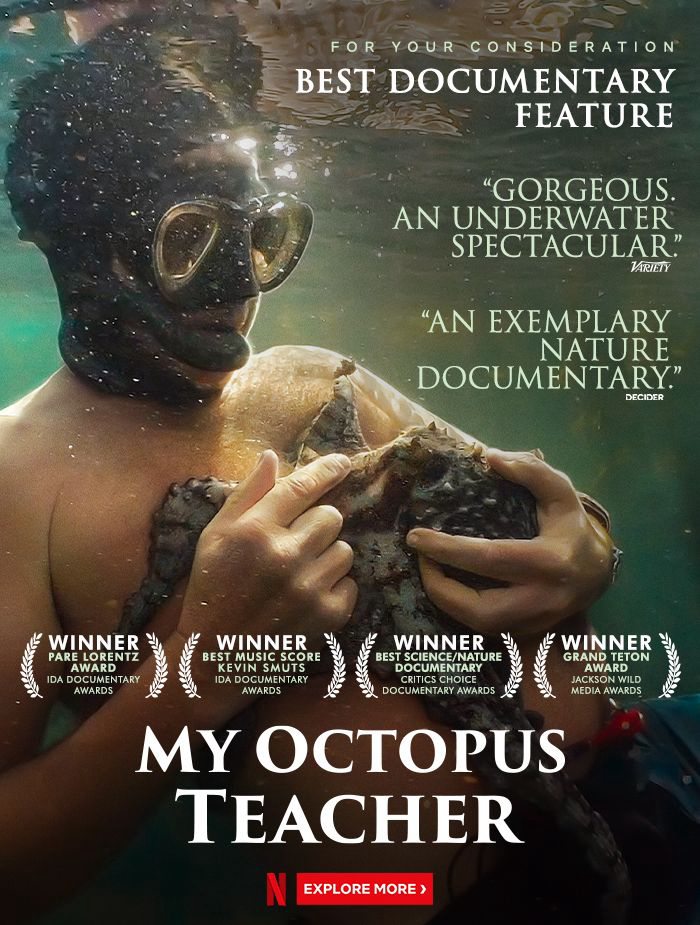 Poster Phim Cô giáo bạch tuộc (My Octopus Teacher)