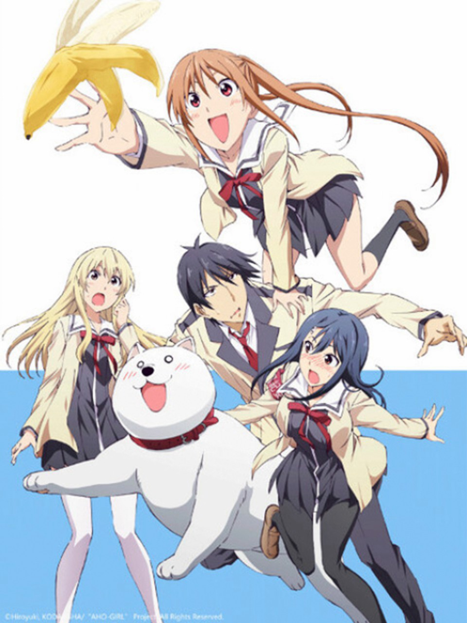 Poster Phim Cô Nàng Ngốc - Aho Girl (Aho Girl)