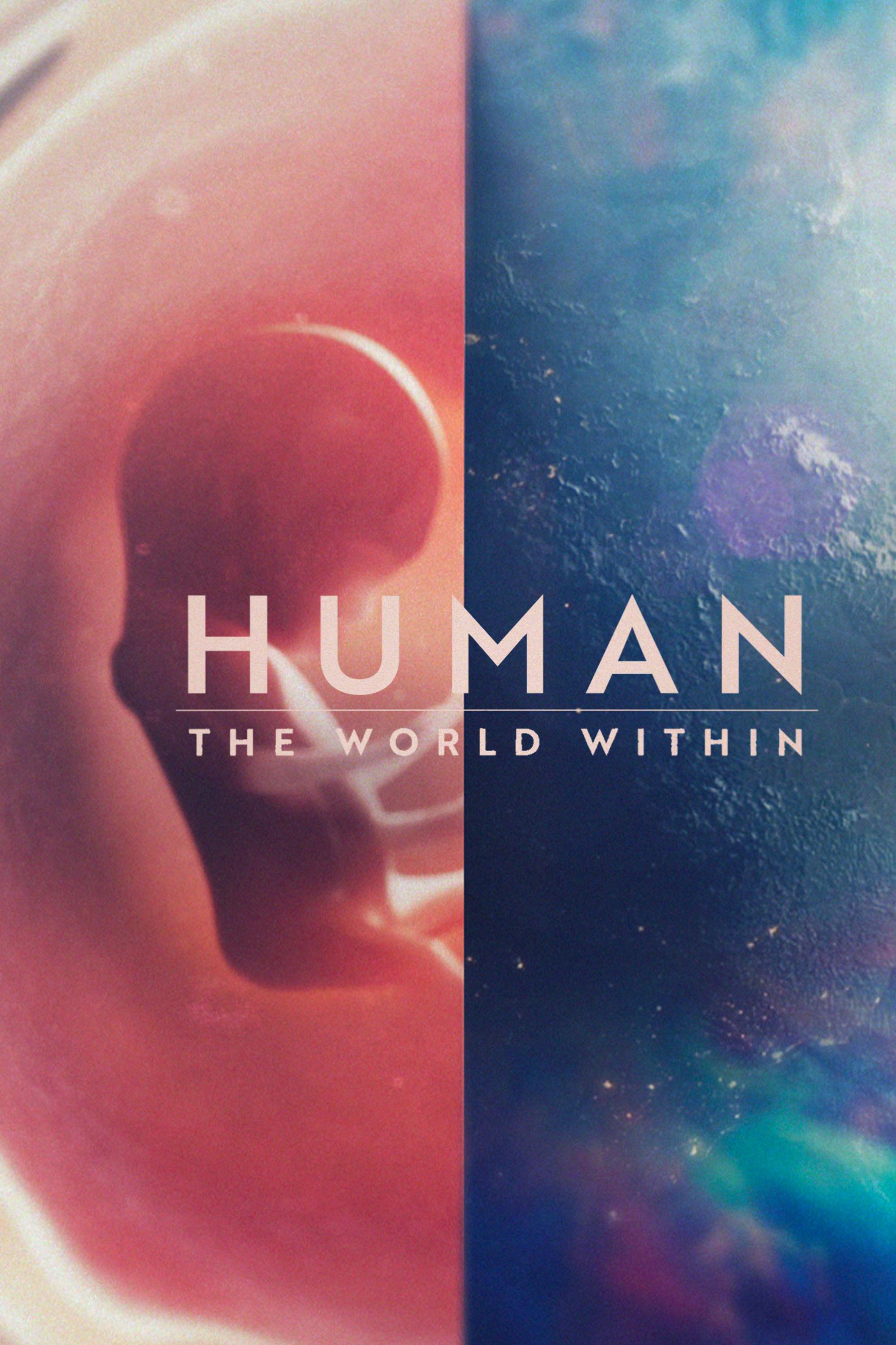Xem Phim Con người: Thế giới bên trong cơ thể (Human: The World Within)