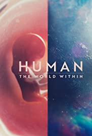 Poster Phim Con Người: Thế Giới Bên Trong Cơ Thể Phần 1 (Human: The World Within Season 1)