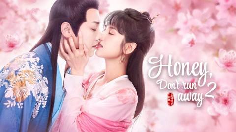 Poster Phim Công Tử Ta Cưới Chàng Chắc Rồi 2 (Honey Don't Run Away 2)