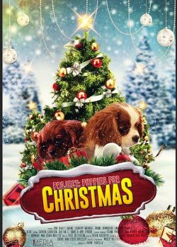 Poster Phim Cún Con Cho Giáng Sinh (Project: Puppies for Christmas)
