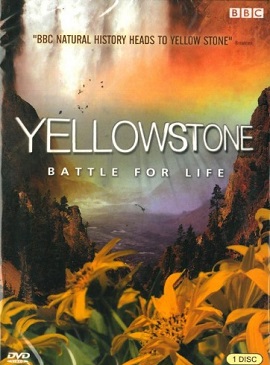 Xem Phim Cuộc Chiến Sinh Tồn (Yellowstone: Battle for Life)