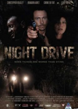 Poster Phim Cuộc Săn Đuổi Kinh Hoàng (Night Drive)