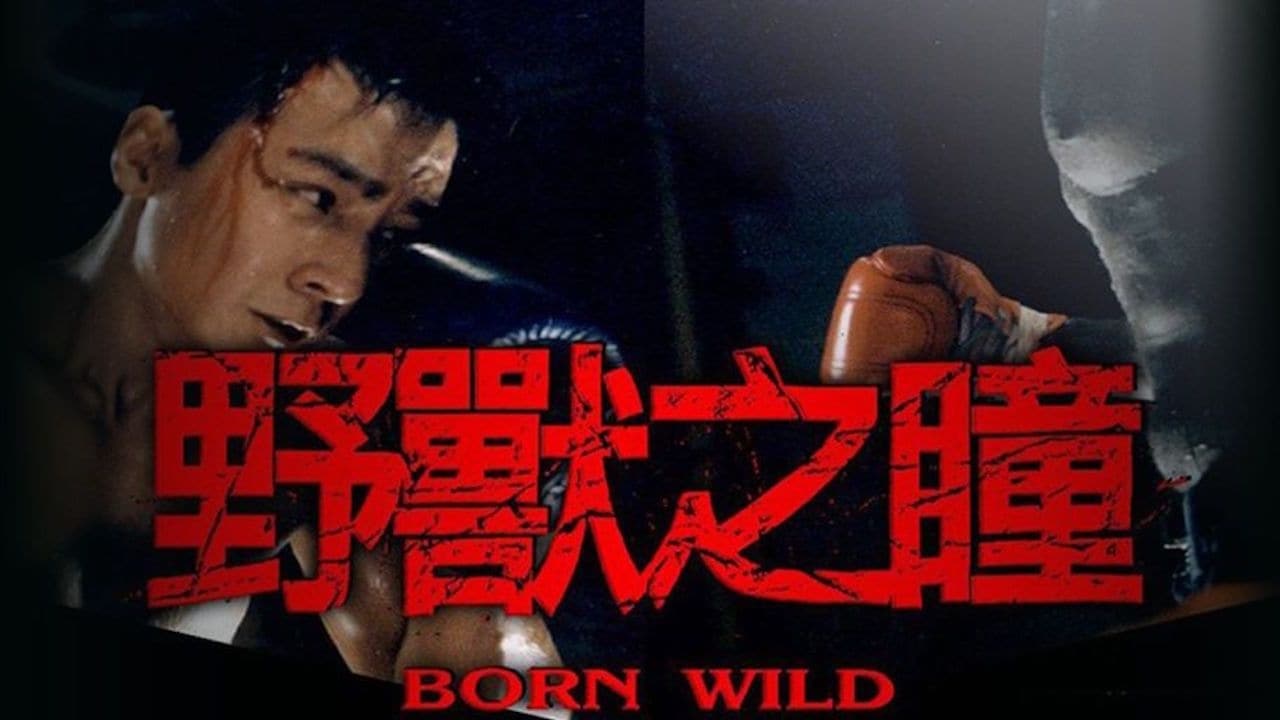 Xem Phim Dã Chiến Giang Hồ (Born Wild)