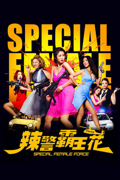 Poster Phim Đặc Nhiệm Mỹ Nhân (Special Female Force)