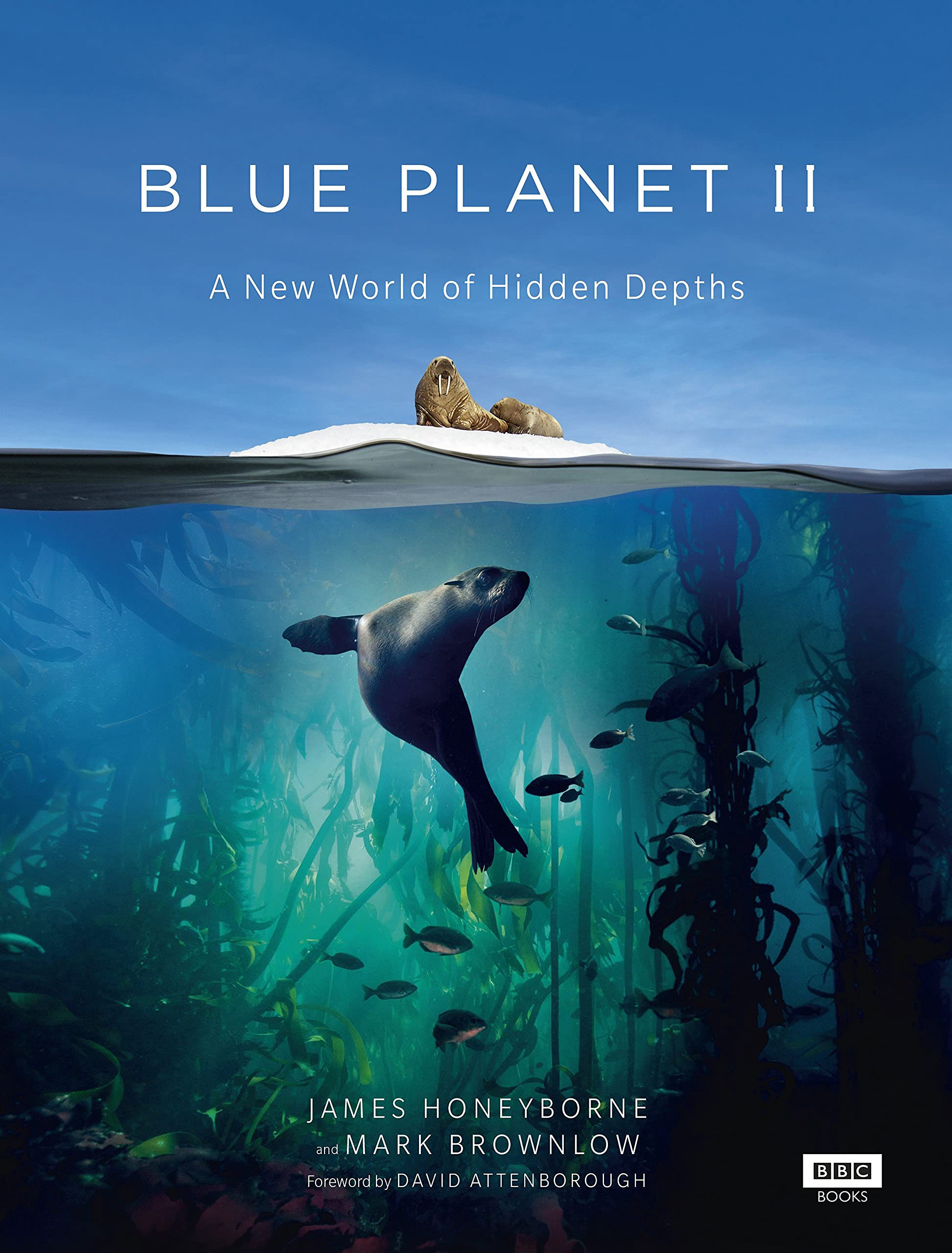 Poster Phim Đại Dương Sâu Thẳm 2 (The Blue Planet 2)