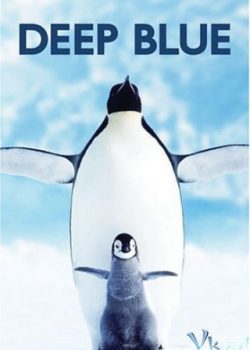 Poster Phim Đại Dương Xanh Thẳm (Deep Blue)
