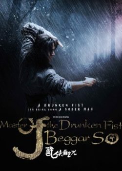 Poster Phim Đại Hiệp Túy Quyền: Tô Khất Nhi (Master Of The Drunken Fist: Beggar So)