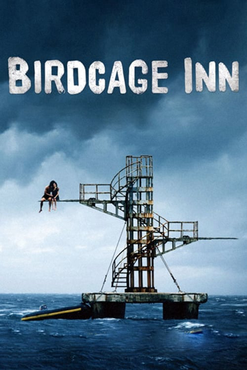 Poster Phim Đại Hồng Môn (Birdcage Inn)