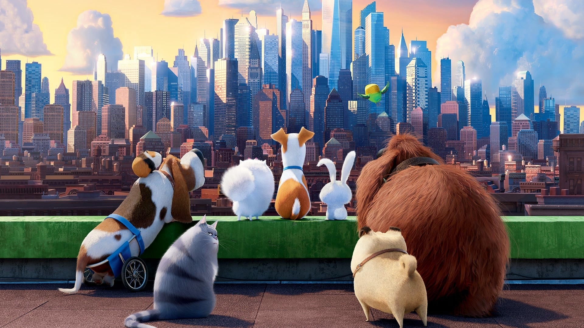 Poster Phim Đẳng Cấp Thú Cưng (The Secret Life of Pets)