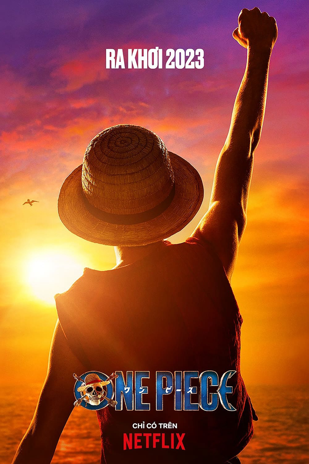 Poster Phim Đảo Hải Tặc (Live Action) (One Piece (Live Action))