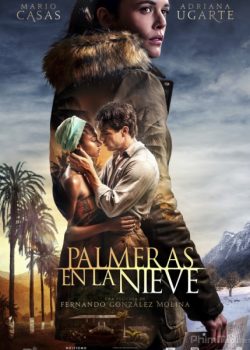 Poster Phim Đảo Tình Yêu (Palm Trees in the Snow Palmeras en la nieve)