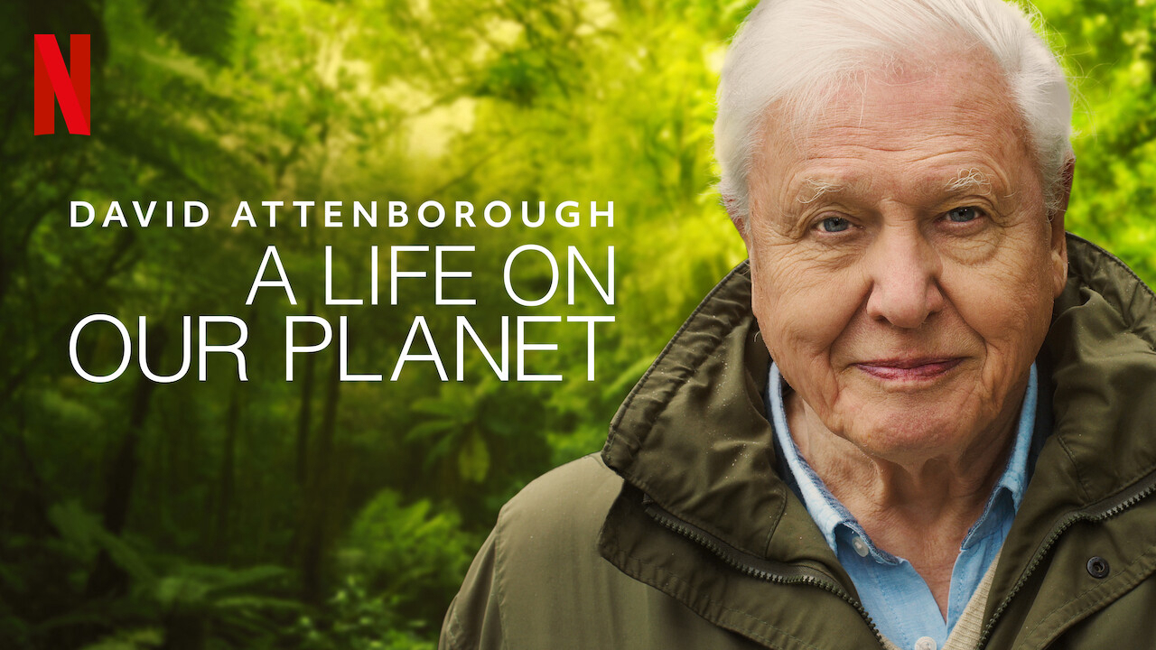 Poster Phim David Attenborough: Một Cuộc Đời Trên Trái Đất (David Attenborough: A Life On Our Planet)