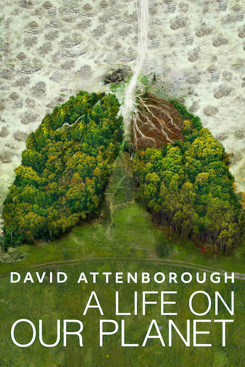 Poster Phim David Attenborough: Một cuộc đời trên Trái Đất (David Attenborough: A Life on Our Planet)