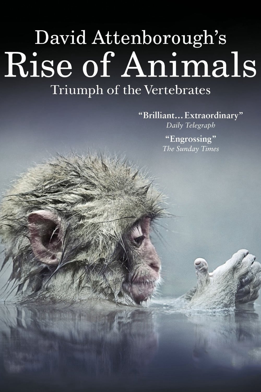 Poster Phim David Attenborough's Rise of Animals: Triumph of the Vertebrates (David Attenborough's Rise of Animals: Triumph of the Vertebrates)