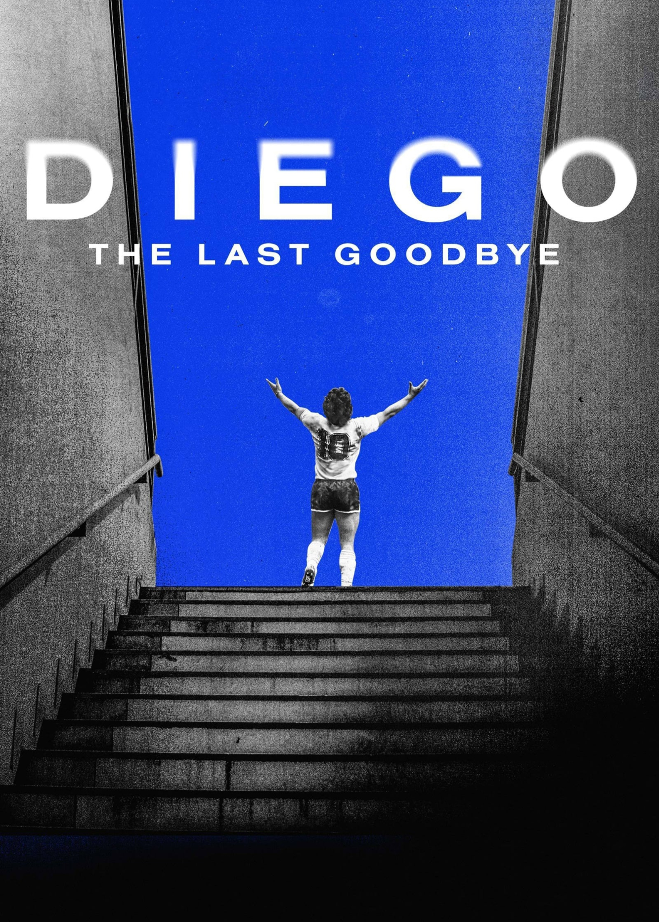 Poster Phim Diego: The Last Goodbye (Diego: The Last Goodbye)