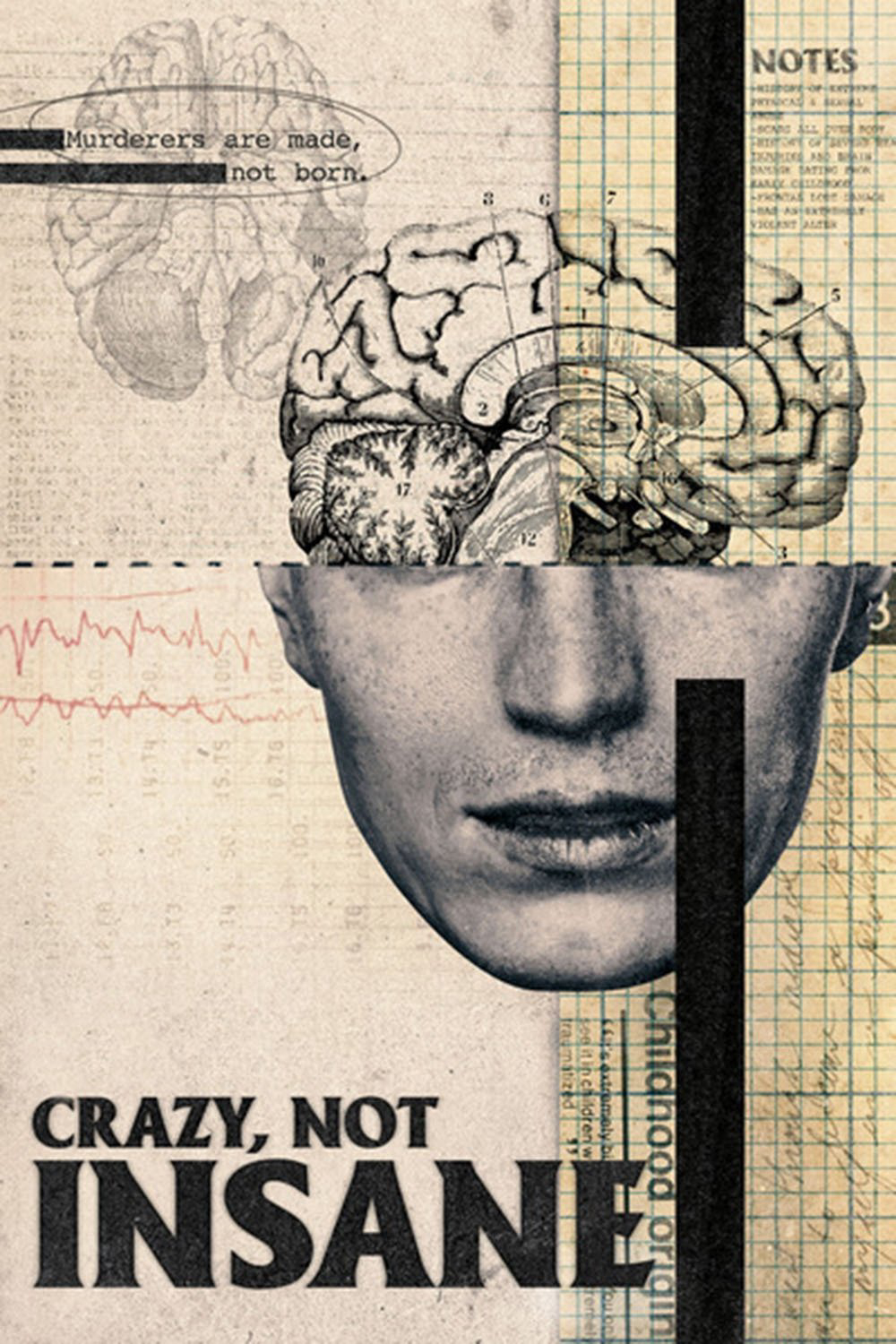 Poster Phim Điên, Không Mất Trí (Crazy, Not Insane)