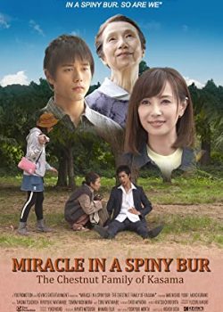 Poster Phim Điều Kỳ Diệu Ở Kasama - Miracle in Kasama (Miracle in a Spiny Bur: The Chestnut Family of Kasama)