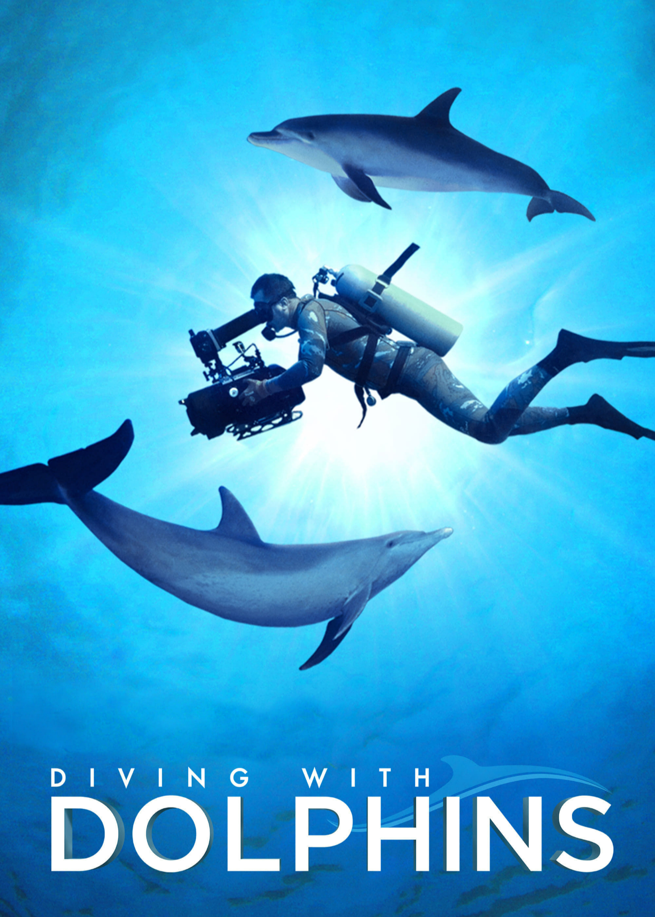 Poster Phim Diving with Dolphins (Diving with Dolphins)
