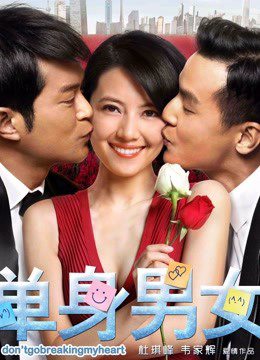 Poster Phim Đơn Thân Nam Nữ 1 (Don&#x27;t Go Breaking My Heart)