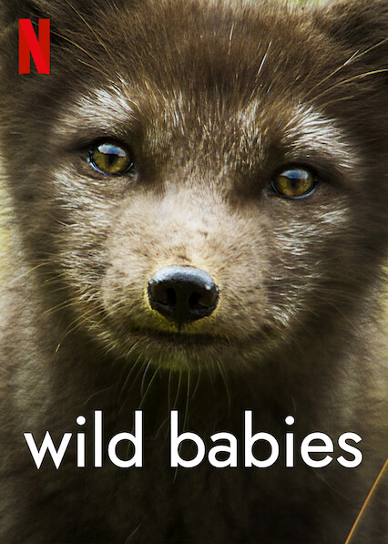 Poster Phim Động vật chào đời (Wild Babies)