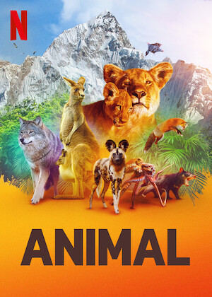 Poster Phim Động Vật Phần 1 (Animal Season 1)