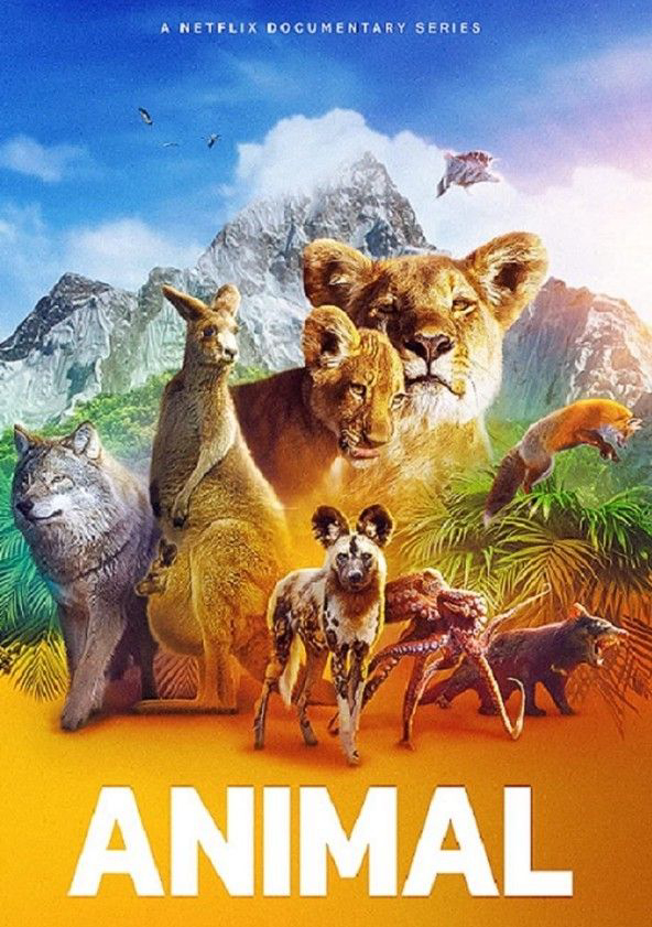 Poster Phim Động vật (Phần 2) (Animal (Season 2))