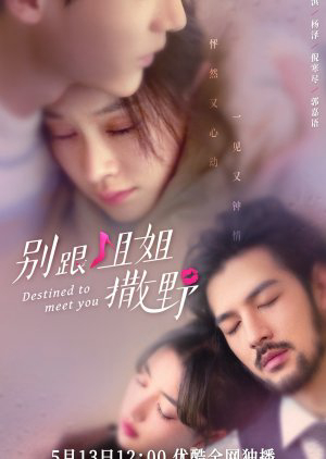 Poster Phim Đừng Nhờn Với Chị (Destined to Meet You)