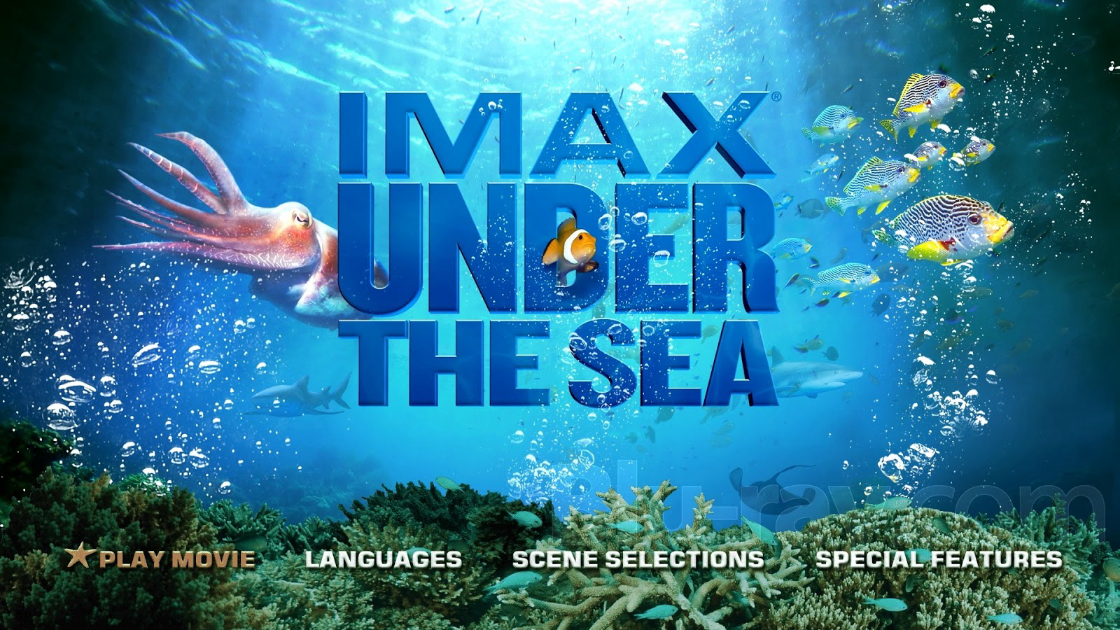 Poster Phim Dưới Lòng Đại Dương (Under The Sea 3D)