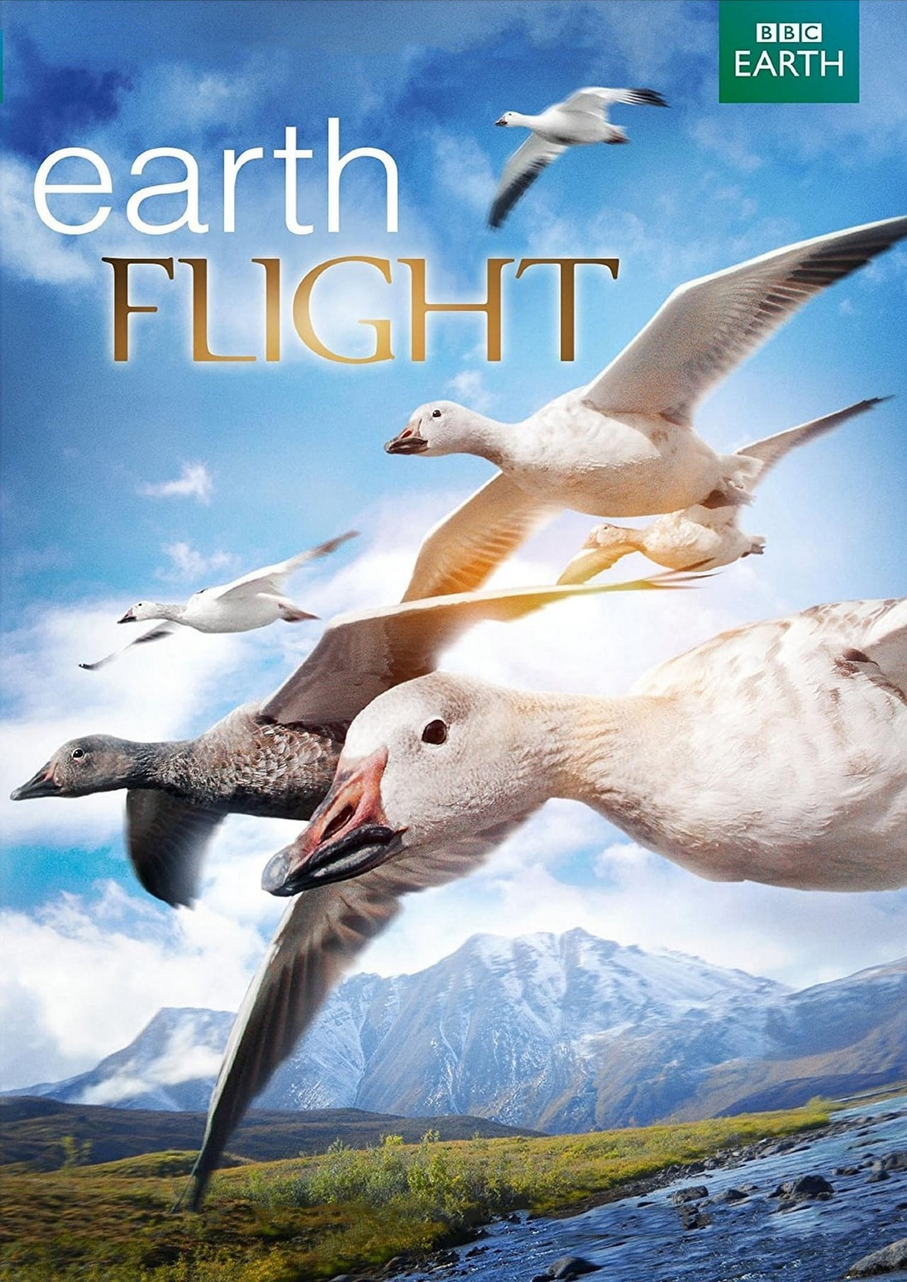 Poster Phim Earthflight (Earthflight)