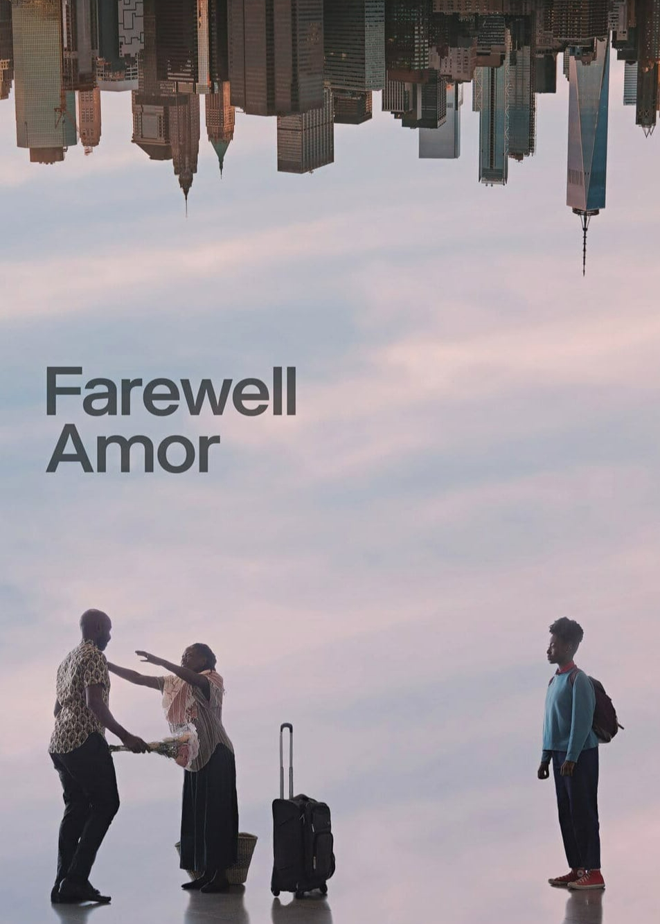 Poster Phim Farewell Amor (Farewell Amor)