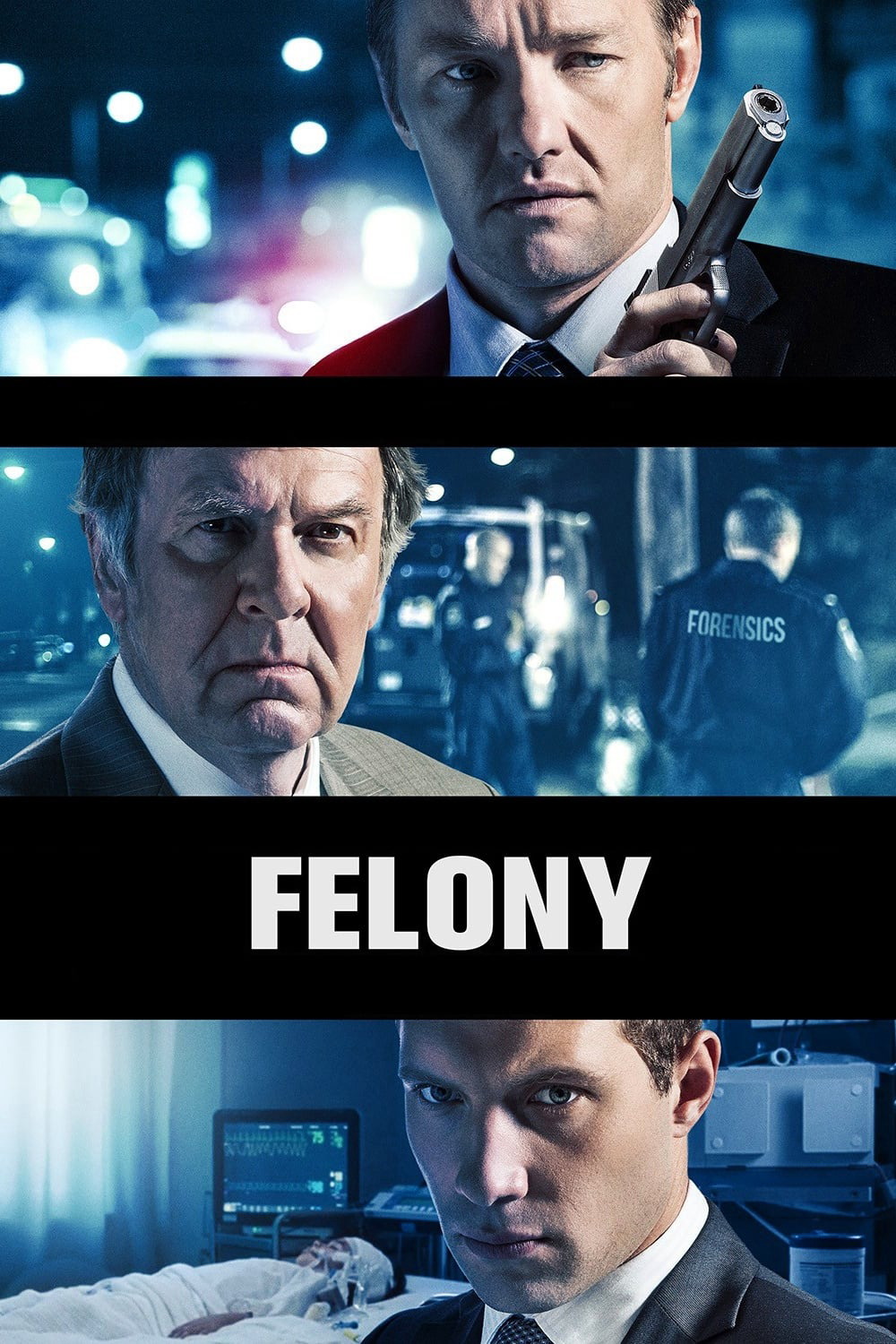 Poster Phim Felony (Felony)